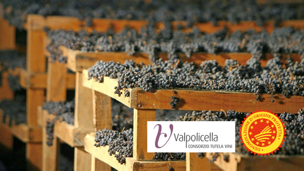 Degustazione Amarone della Valpolicella 