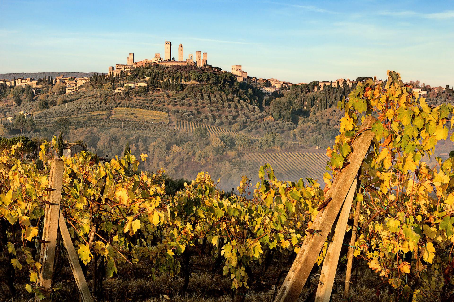 Degustazione Vernaccia di San Gimignano